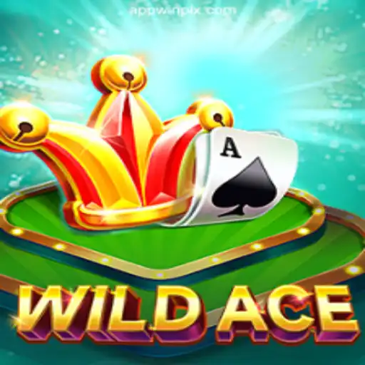 Exploring WildAce: A Premier Online Casino Experience